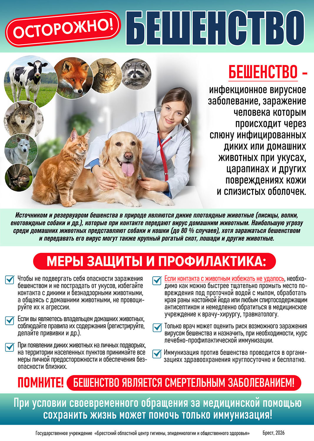 Плакат «Осторожно! Бешенство»: пути заражения, меры профилактики и действия после контакта с животным.